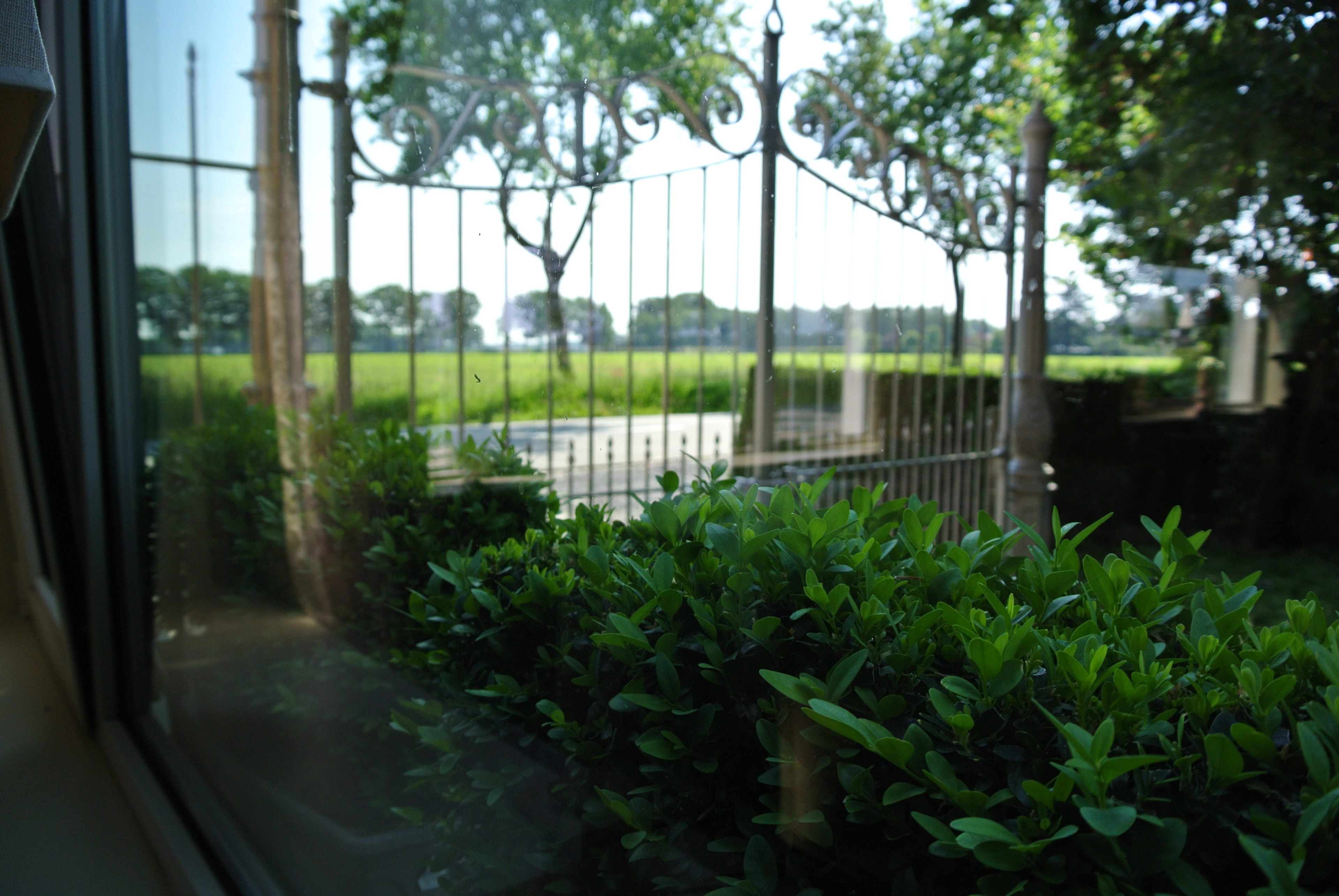 DSC_8810.webp